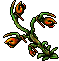 Spit Nettle